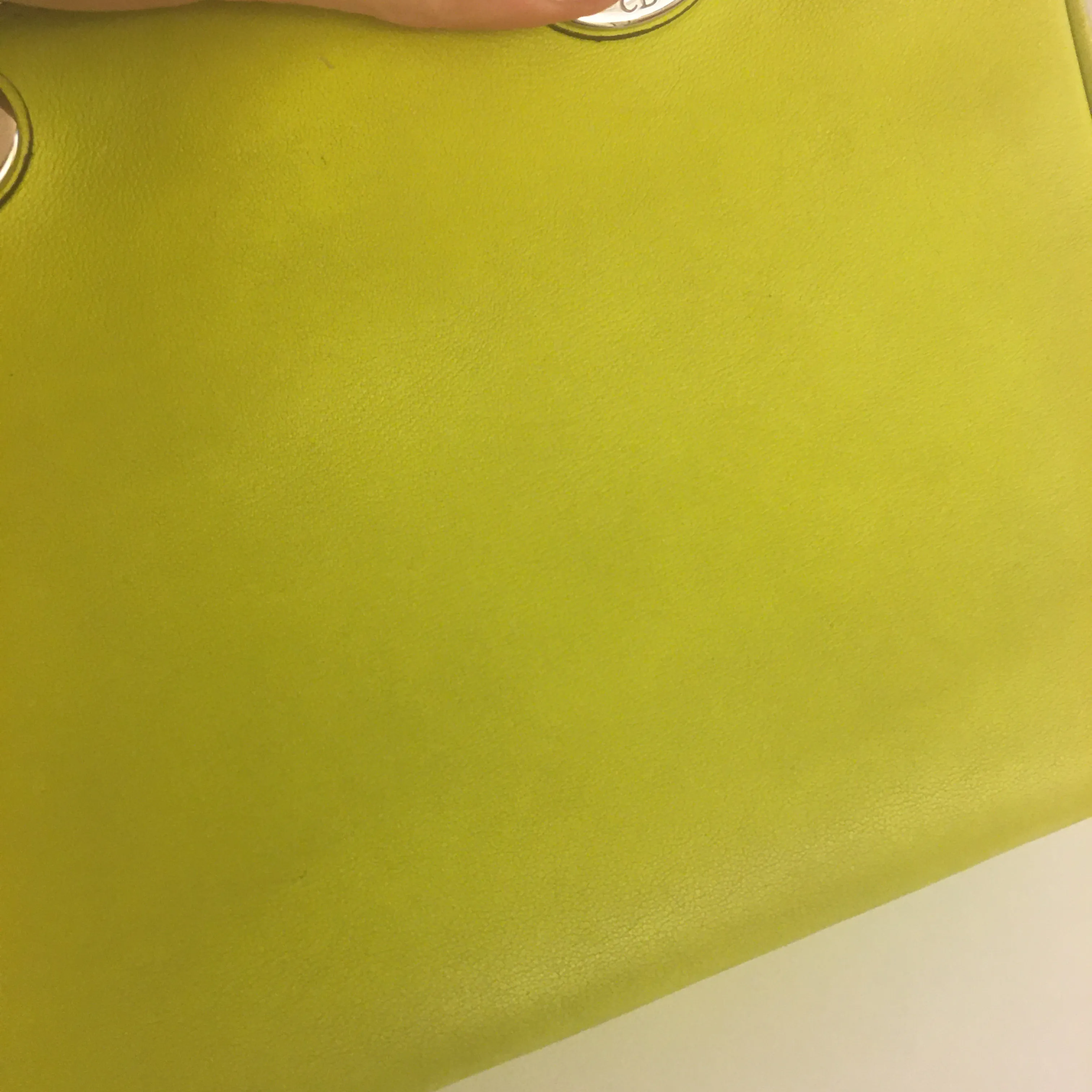 CHRISTIAN DIOR Lady Dior Handbag in Green Leather