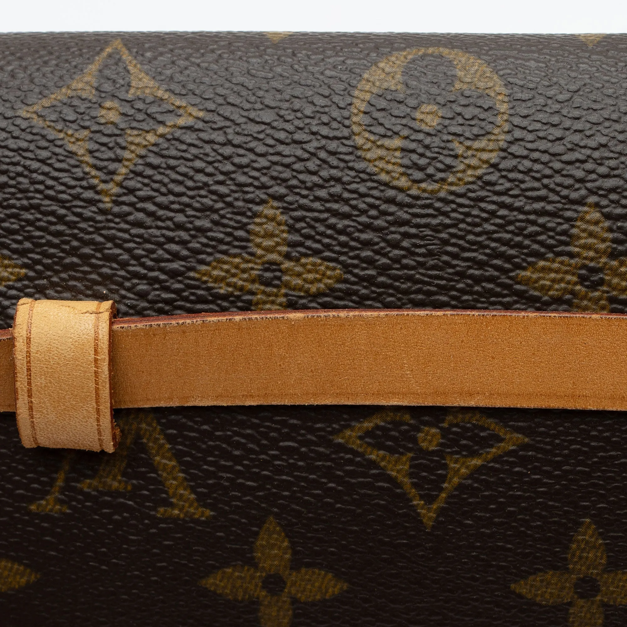 Louis Vuitton Monogram Canvas Pochette Florentine Small Belt Bag (SHF-YFDE2f)