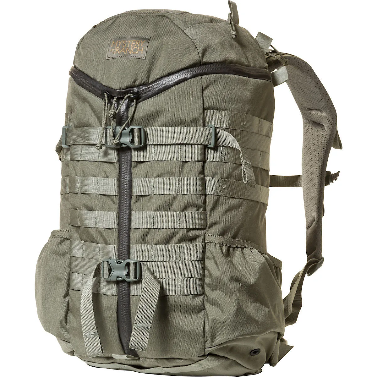 Mystery Ranch 2 Day Assault Backpack